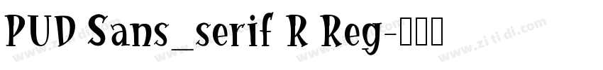 PUD Sans_serif R Reg字体转换